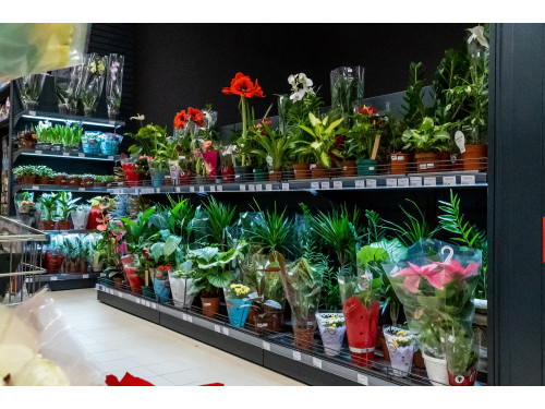 МЕГА Маркет, Капитановкафото 30