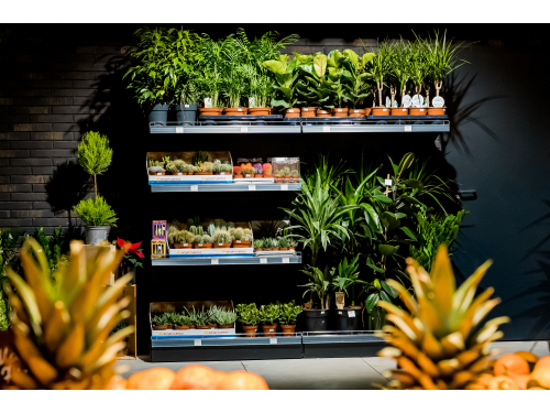 Ультрамаркет на Глыбочицкой, 44фото 2