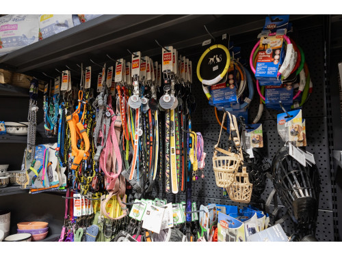 ZooHouse в ЖК Варшавскийфото 11