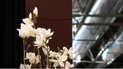 Уникальная покрасочная линия торгового оборудования производства Modern Expo