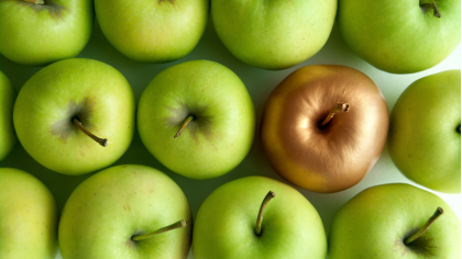 Уникальность ассортимента как ключ к успеху магазина