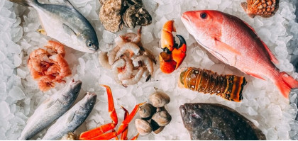 Какое торговое оборудование необходимо для рыбного магазина