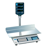 Весы торговые CAS AP-EX LT с расширенной клавиатурой и увеличенной платформой