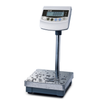 Весы напольные пыле-влагозащищенные BW с платформой 280х280 мм