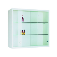 Подвесной металлический шкаф Szl 102