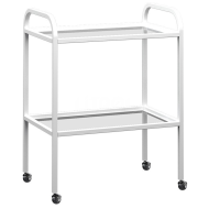 Столик инструментальный  Szl 105-2S