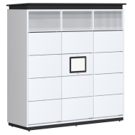 Почтомат Loko Fresh 2400х2100х700 мм на 3 колонны